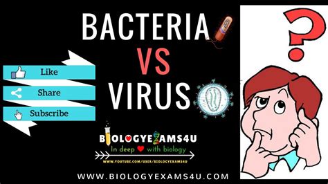 Difference Between Virus And Bacteria Virus Vs Bacteria Youtube