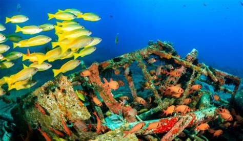 With new addicting jigsaw puzzle games added. Sunken Wreck Jigsaw Puzzle