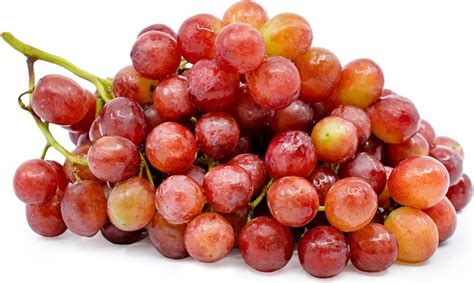 Seedless Grapes Red Information Recipes And Facts