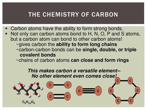 Ppt Carbon Compounds Powerpoint Presentation Free Download Id2319516