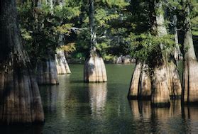There are no developed campgrounds or designated campsites in the preserve. Kountze, Texas - Discount Hotels