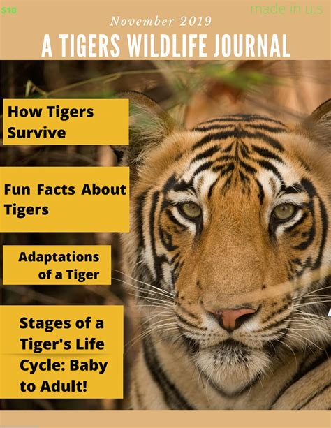 A Tigers Wildlife Journal By Roger M By Shapiron Issuu