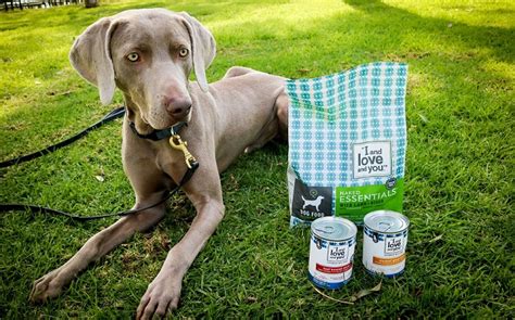 Maybe you would like to learn more about one of these? I and Love and You Dog Food Review and Giveaway - That Mutt