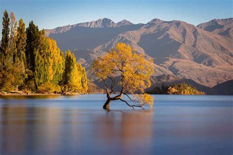 17 Awesome Things To Do In Wanaka Epic 2022 Guide Be Herald