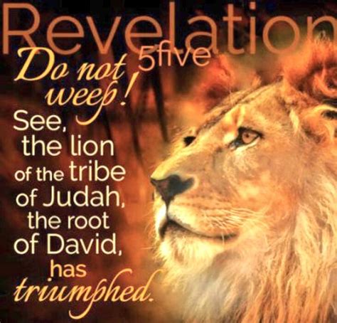 62119 Tribe Of Judah Scripture Pictures Lion Of Judah