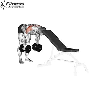 Bent Over Dumbbell Rear Delt Raise With Head On Bench Workout Planner