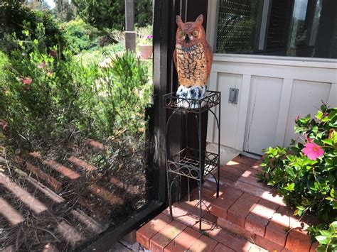 It was founded by kiichiro toyoda and incorporated on august 28, 1937. Metal 2-Tier Plant Stand 8W X 28H With Resin Owl Sculpture 16H