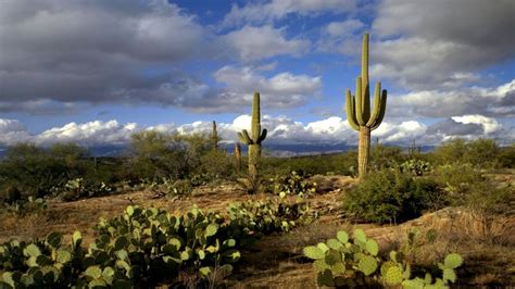 Arizona Desert Pictures For Wallpaper Best Hd Wallpapers