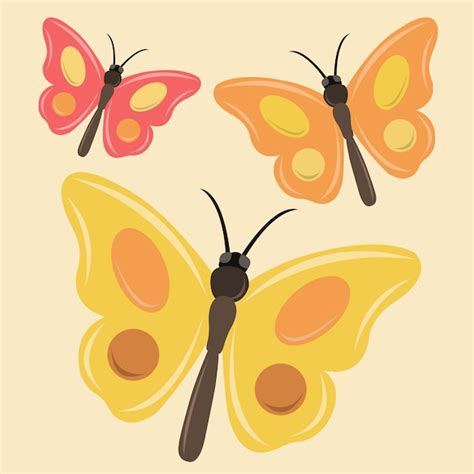 Premium Vector Colorful Butterfly Illustration