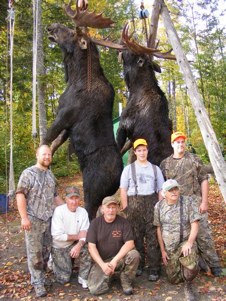 Moose Hunting In Maine The Ultimate Guide Precisionoutdoors