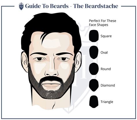 10 Facial Hair Styles Every Man Should Know 2024 Guide Facial Hair Mustache And Goatee