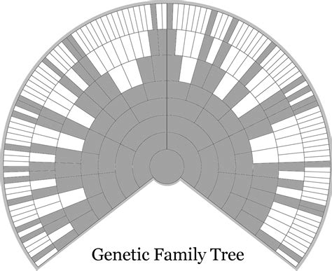 Additionally, your parents will come above you while their siblings will be drawn next to them, following the same pattern as of your siblings, called as your aunts and uncles. Q&A: Everyone Has Two Family Trees - A Genealogical Tree and a Genetic Tree - The Genetic ...