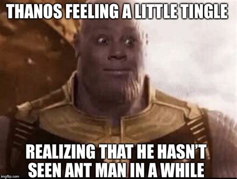 Ant Man Thanos Meme  Photos Idea