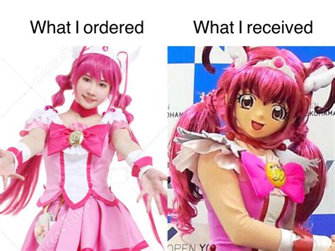 Another Pretty Cure Meme I Made Fandom