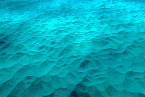 Royalty Free Ocean Floor Pictures Images And Stock Photos Istock