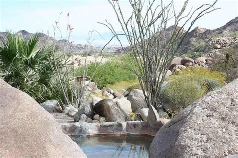Guadalupe Canyon A Hot Spring Oasis In Mexico Travel Dudes