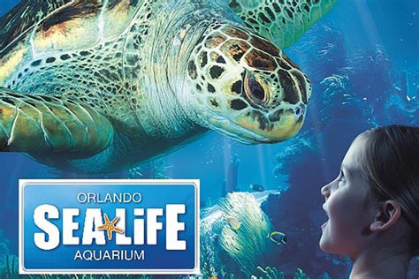 The Official Guide To Sea Life Orlando Aquarium Icon Park