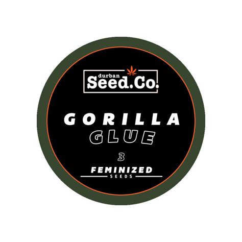 Gorilla Glue 3 Durban Seed Co