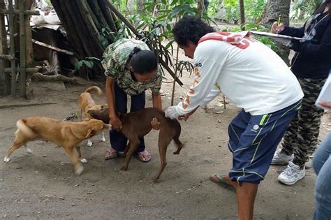 Negros Town Declares Rabies Outbreak Abs Cbn News
