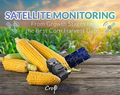 Satellite Monitoring From Growth Stages To The Best Corn Harvest Date