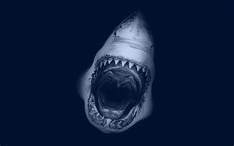 Shark Mouth Open Wallpaper
