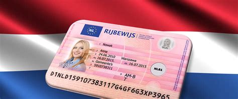 The Dutch Driving License For Expats All You Have To Know Theory