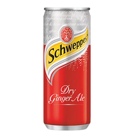 Mixers Switzerland Schweppes Ginger Ale Can 320ml Non