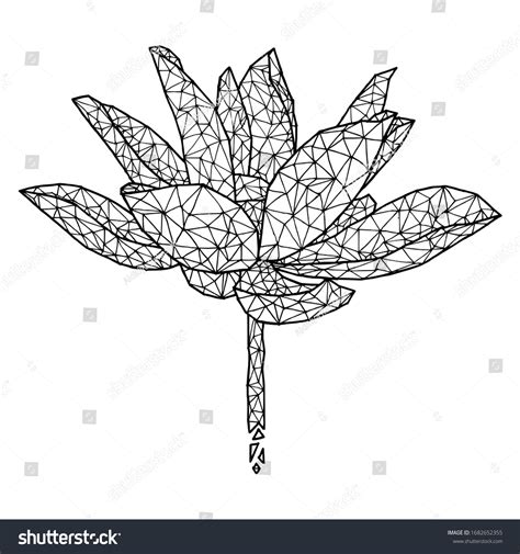 Low Poly Line Lotus Flower Hand Stock Vector Royalty Free
