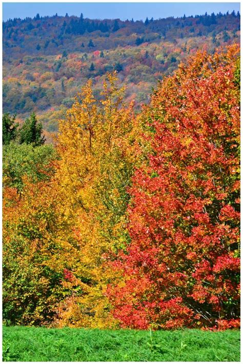 Fall In Vermont Best Places To See Fall Foliage In Vt Best Places