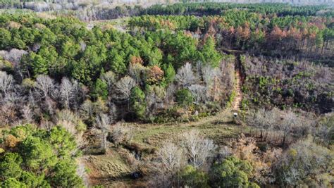 1647 Acres Hinds County Ms Backwoods Land Company