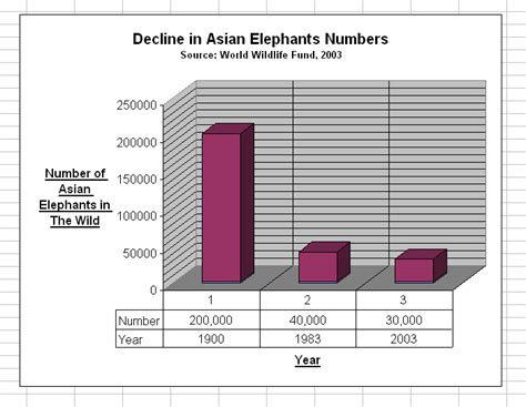 Addressing the Elephant in the Room | Marabelle DeLaurentis