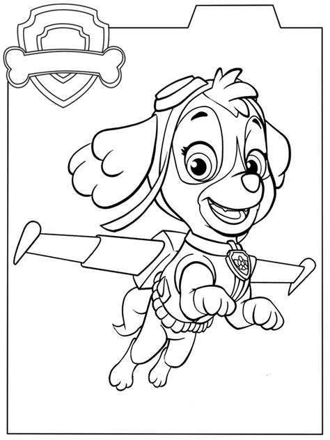 Paw Patrol Dibujos Animados Infantiles Para Colorear Images And