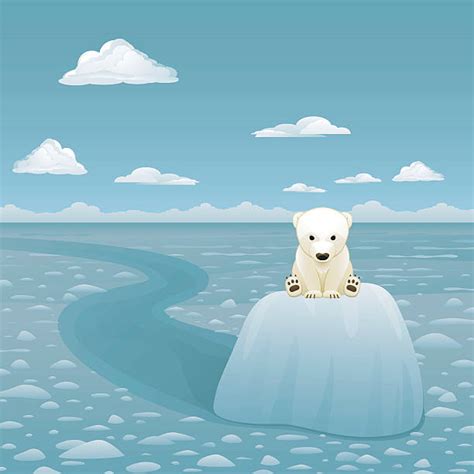 260 Sad Polar Bear Stock Photos Pictures And Royalty Free Images Istock