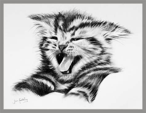 Black And White Cute Drawing Kitten Image 265480 On