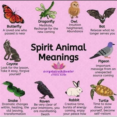 Animal Symbols And Meanings