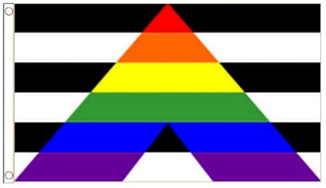 Straight Ally Flag Large X Cm X Cm Lgbt Pride Flagsuperstore Amazon Co Uk