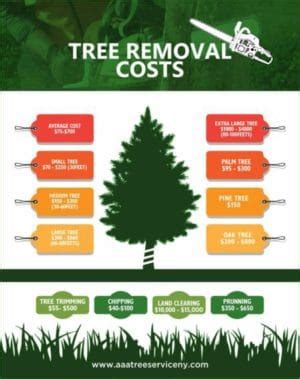 The cost of tree removal is just one of the many expenses a homeowner might have in regards to landscaping. TREE REMOVAL COST AVERAGE TREE TRIMMING CUT DOWN TREE