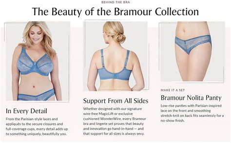 Bramour By Glamorise Womens Full Figure Plus Size Underwire Sheer Lace