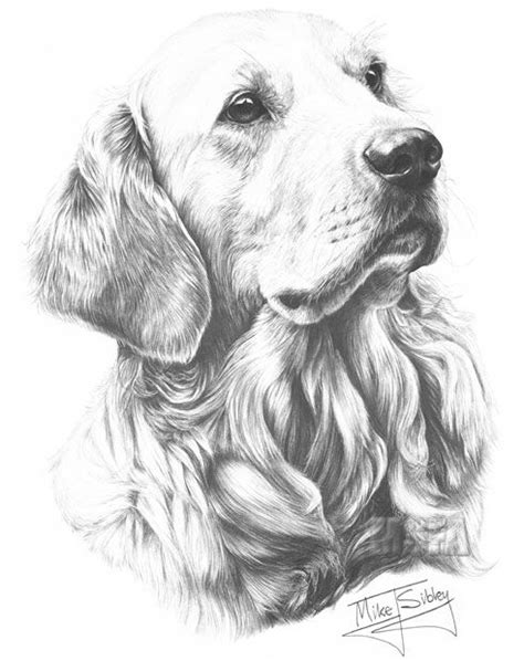 Open Edition Graphite Pencil Dog Prints Fine Art Gallery Mike