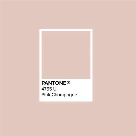 Recommendation Champagne Color Pantone 563