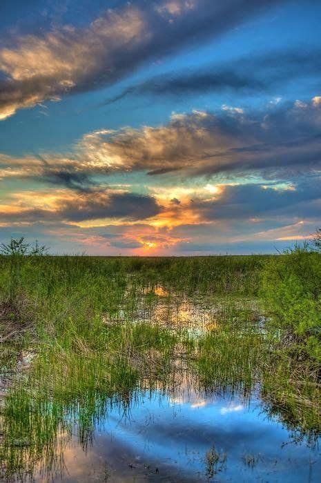 Sunset Over The River Of Grass Art Print By William Wetmore In 2020