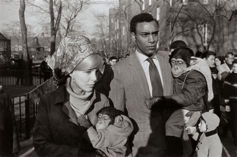 Garry Winogrand Central Park Zoo New York City New York 1962 In