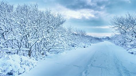 Free Download Wallpaper 3840x2160 Snow Trees Road Traces Winter Cloudy