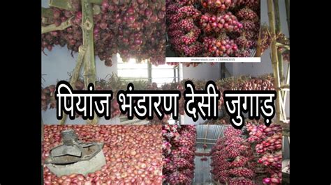 Onion Storage Process How Can We Store Onion In House Youtube