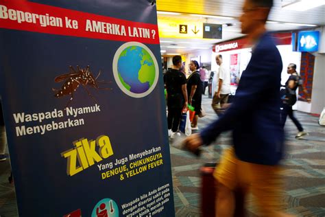 Singapore Confirms Zika Spread Us And Other Countries Issue Travel Warnings Fox News