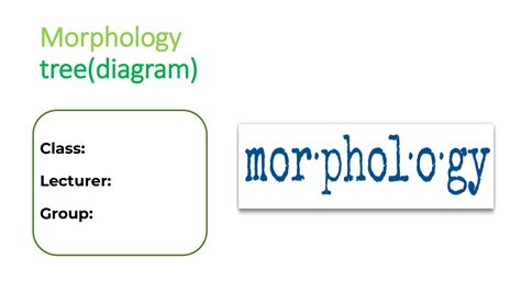 Solution Clear Morphology Presentation Word Tree Diagram Studypool