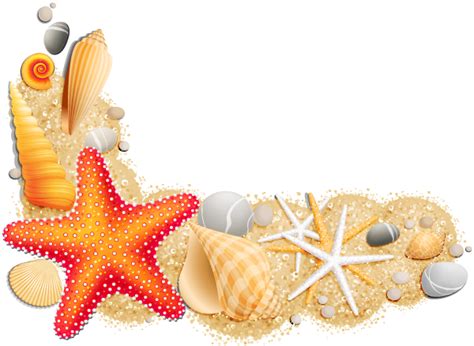 Seashell Clip Art Seashell Png Download 600438 Free Transparent