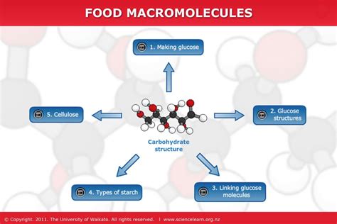 Carbohydrates Teaching Resource Carbohydrates Are Compounds Of Tremendous Biological