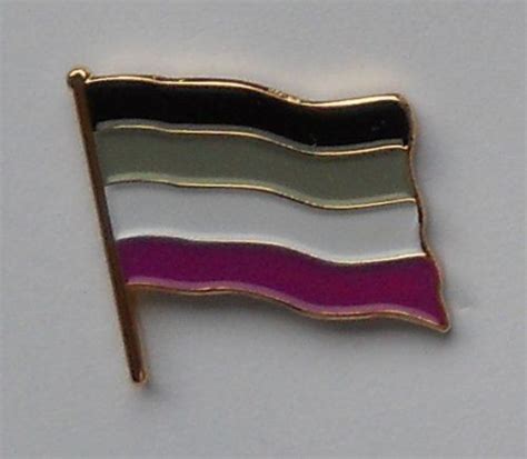 Asexual Pride Flag Enamel Pin Badge In 2024 Asexual Pride Asexual The Bright Sessions