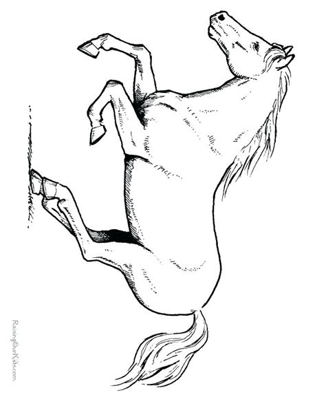 Hard Coloring Pages Of Horses At Free Printable